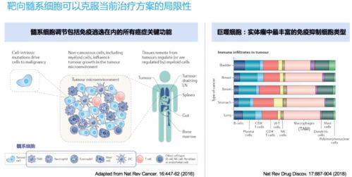 法圖醫藥廖曉伶團隊 核心產品獲FDA孤兒藥認定，解鎖靶向髓細胞的新型癌癥免疫療法